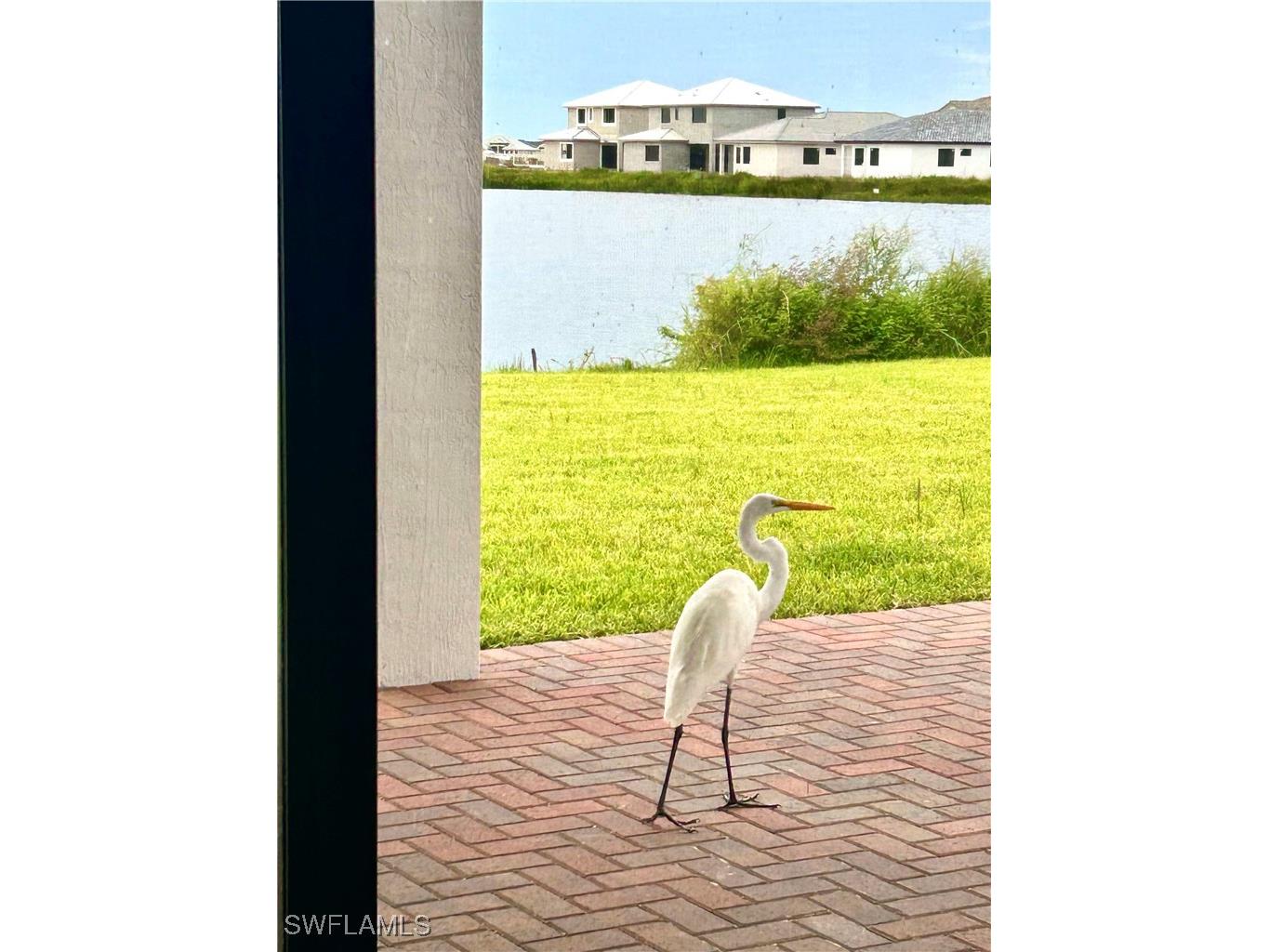 5077 Gambero Way Ave Maria FL 34142 226005486 image33
