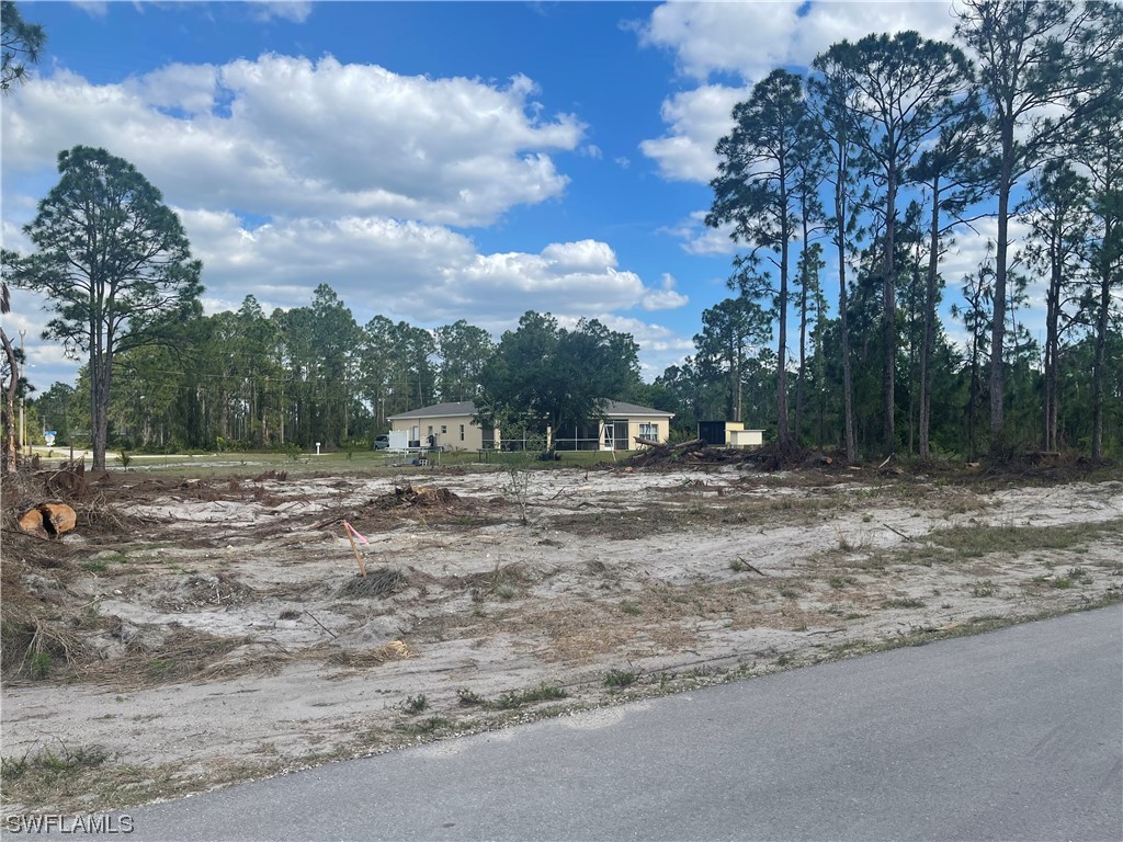 509 Cottonwood Avenue S Lehigh Acres FL 33974 223017032 image1