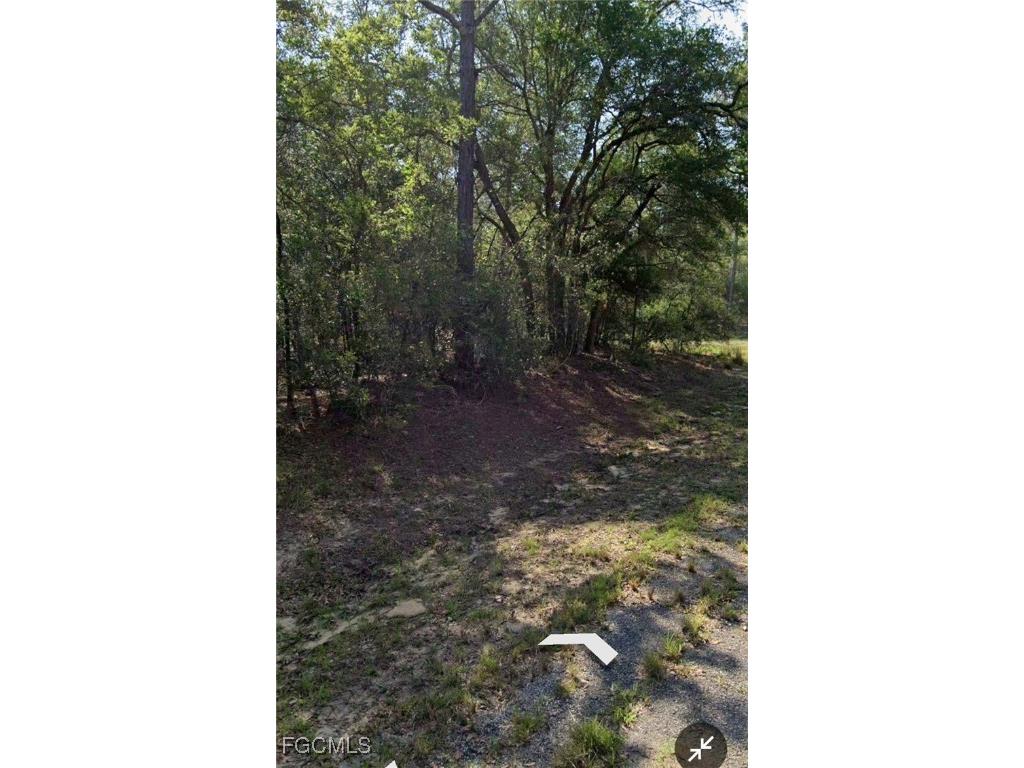 509 E Nemo Drive Citrus Springs FL 34434 2025020651 image3