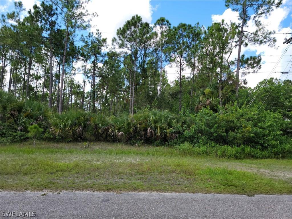 509 Montclair Avenue S Lehigh Acres FL 33974 222074801 image1