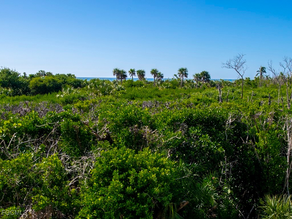 5095 Joewood Drive Sanibel FL 33957 2025017273 image23