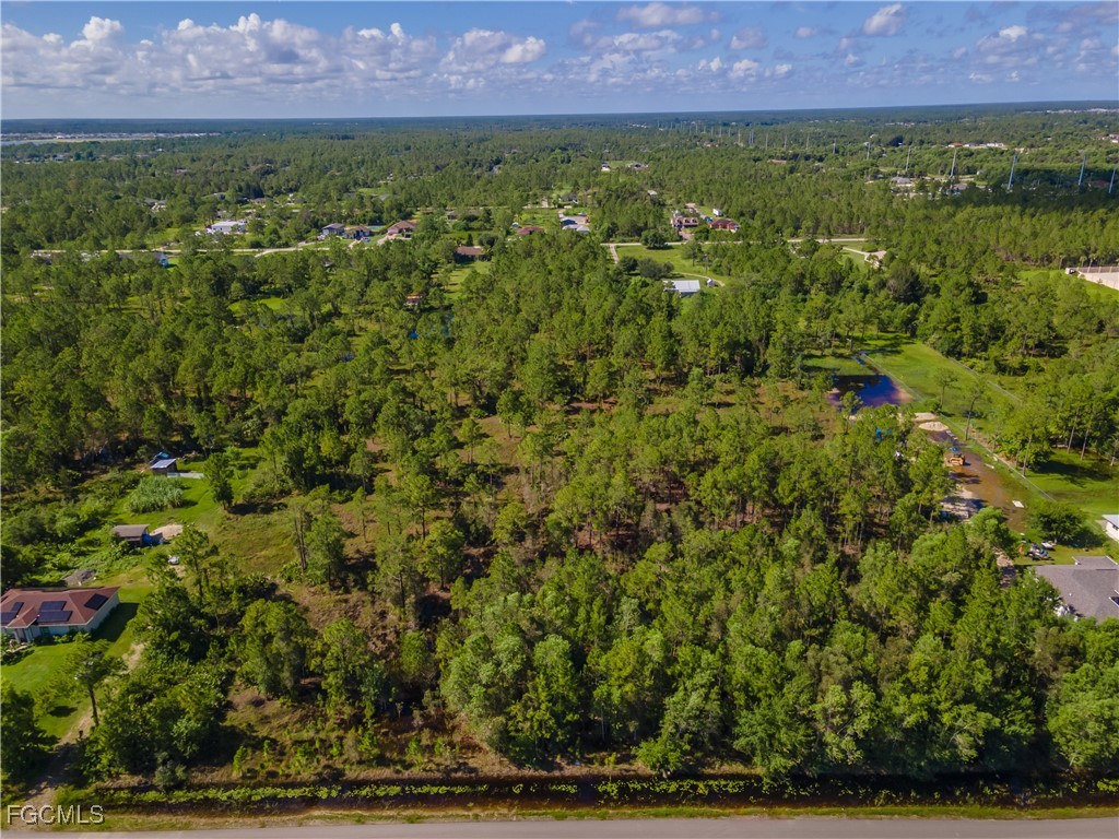 50th Ave NE & Everglades Boulevard N Naples FL 33035 2025002860 image2