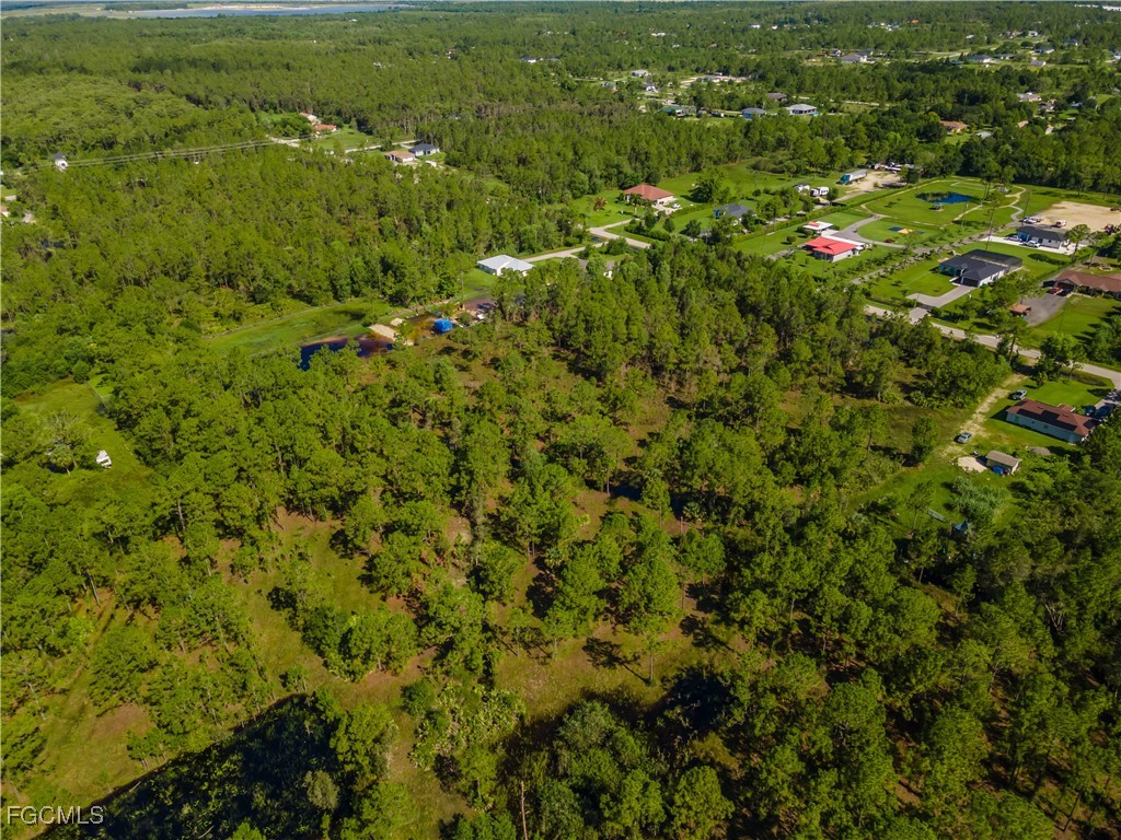 50th Ave NE & Everglades Boulevard N Naples FL 33035 2025002860 image4