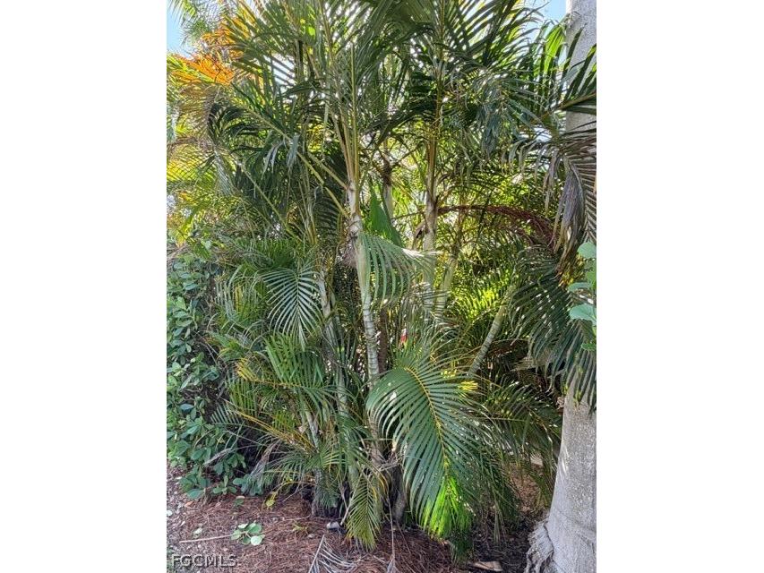 5100 Cypress Trail Resort Circle Fort Myers FL 33905 2026008133 image22