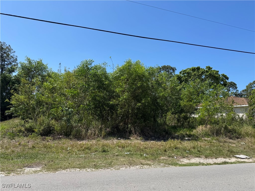 5101 Lee Street Lehigh Acres FL 33971 225037274 image1