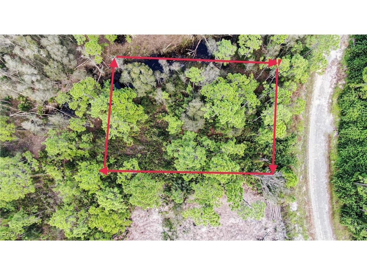 511 Ladd Street Lehigh Acres FL 33974 2025011764 image2