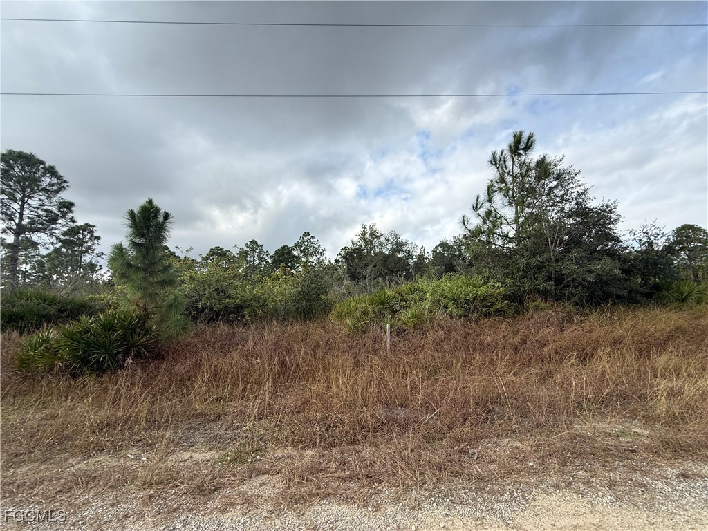 511 Louis Avenue Lehigh Acres FL 33972 2025024061 image2