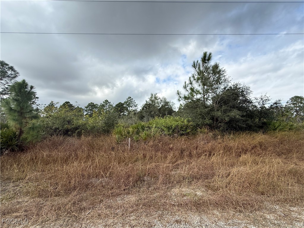 511 Louis Avenue Lehigh Acres FL 33972 2025024061 image3