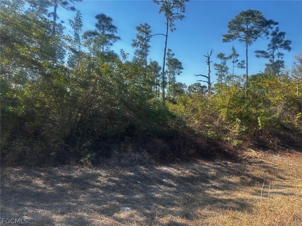 511 Penton Avenue S Lehigh Acres FL 33974 2026006384 image3