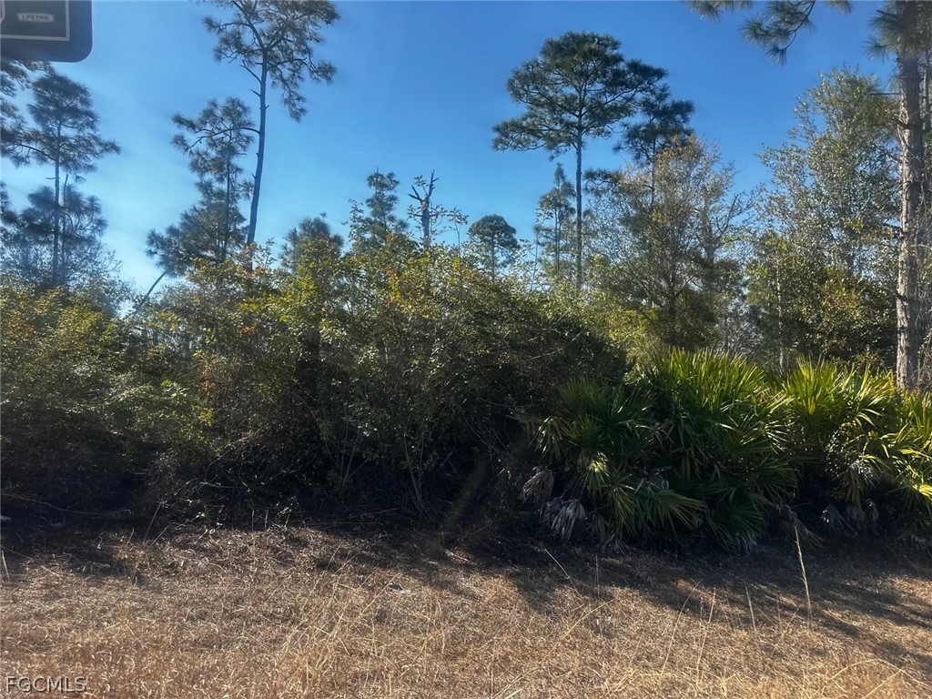 511 Penton Avenue S Lehigh Acres FL 33974 2026006384 image4