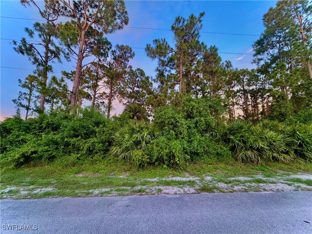 511 Redwood Avenue S Lehigh Acres FL 33974 225051337 image1