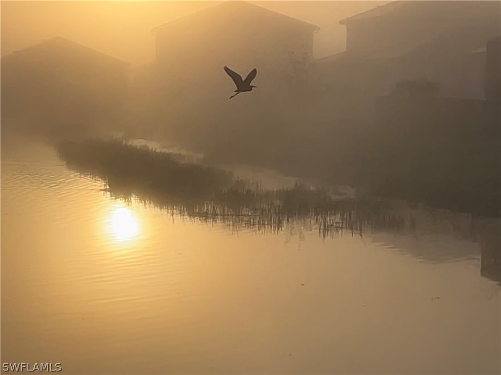 5114 Penella Avenue Ave Maria FL 34142 226009807 image45