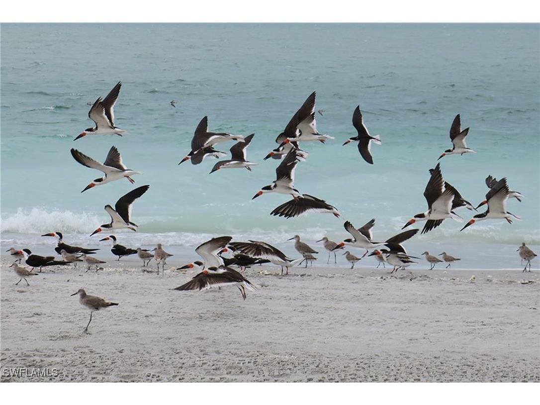 5120 Bayside Villas Captiva FL 33924 224104502 image44