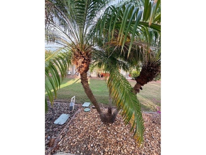 5129 Cypress Trail Resort Circle Fort Myers FL 33905 2025011284 image23