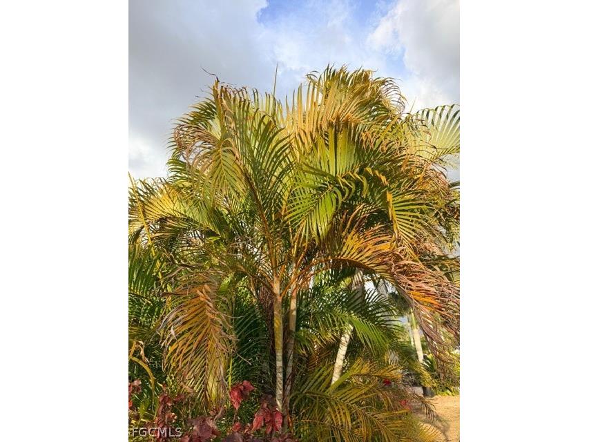 5129 Cypress Trail Resort Circle Fort Myers FL 33905 2025011284 image30