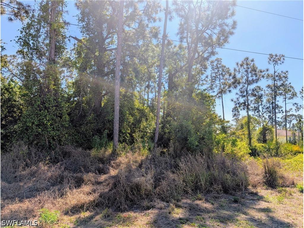 513 Beach Avenue S Lehigh Acres FL 33974 226011273 image3