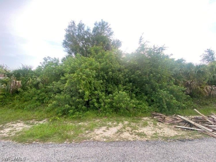 513 Poinsettia Avenue Lehigh Acres FL 33972 224011978 image1