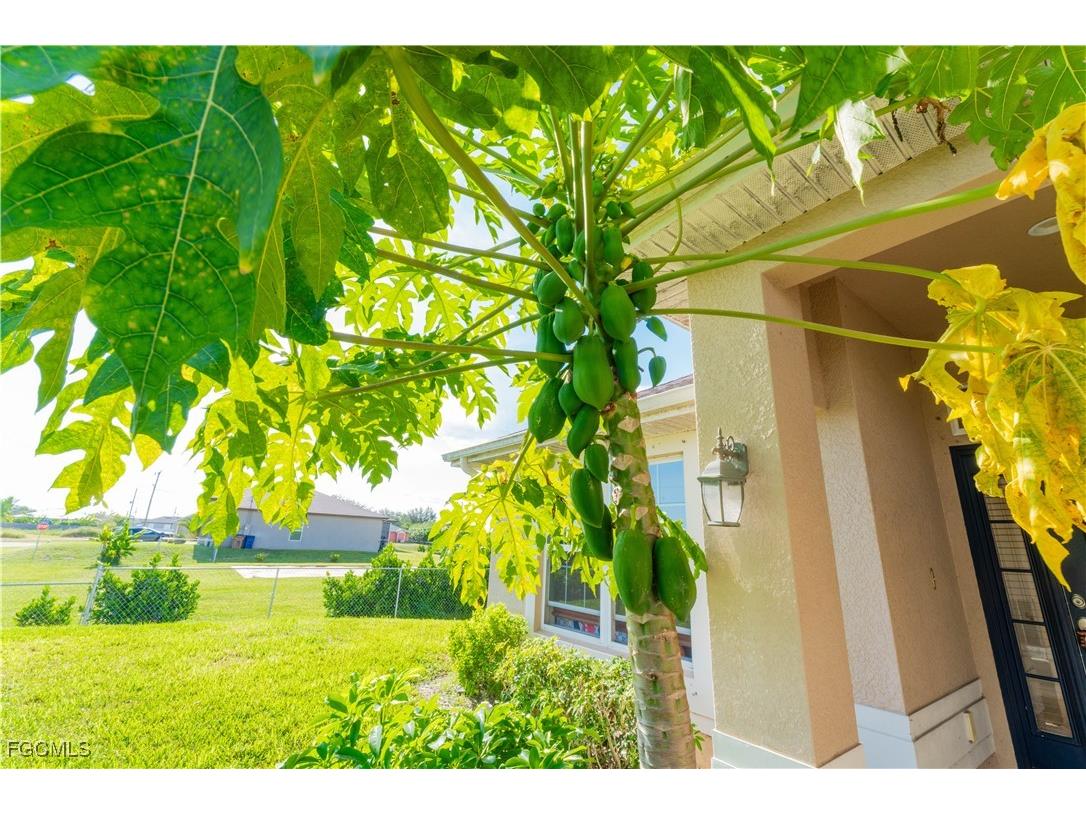 5134 Baron Street Lehigh Acres FL 33971 2025005370 image18