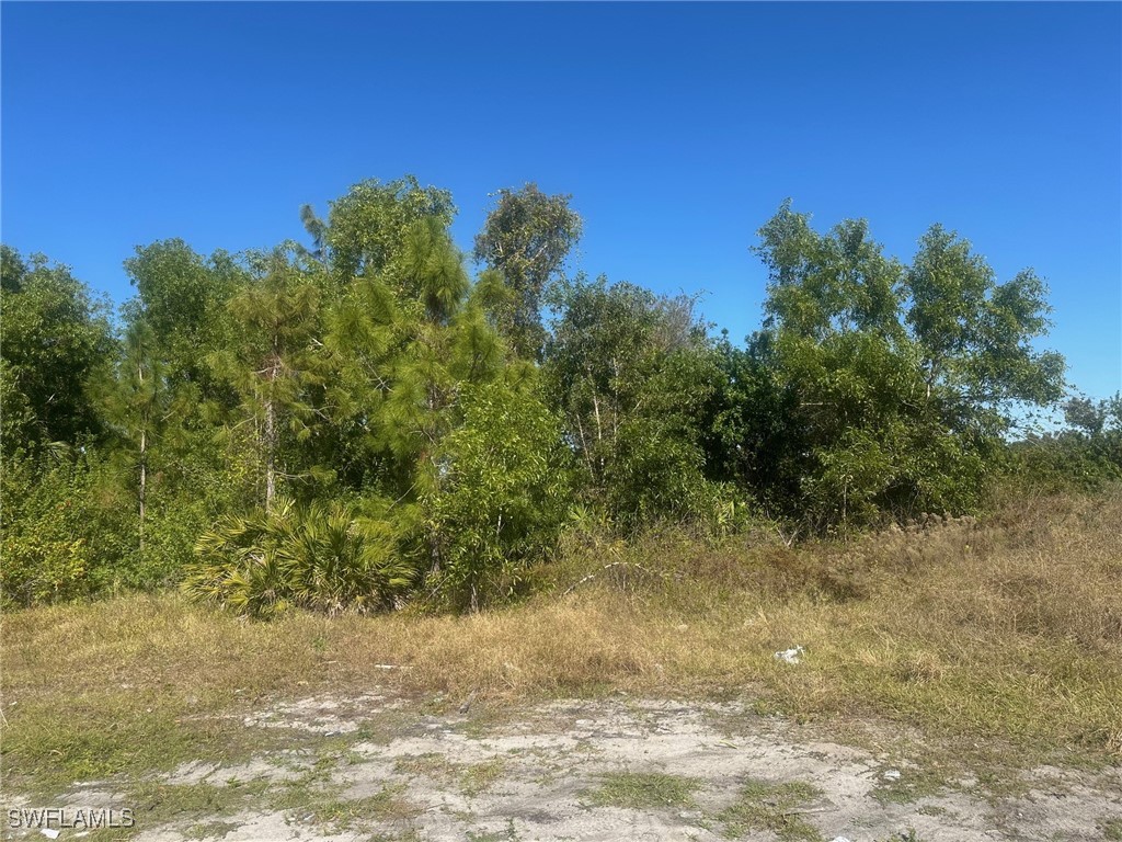 5136/5138 28th Street SW Lehigh Acres FL 33973 225003824 image1