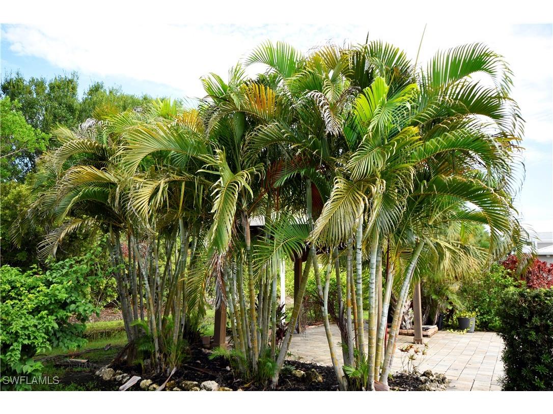 5136 Cypress Trail Resort Circle Fort Myers FL 33905 225064075 image11