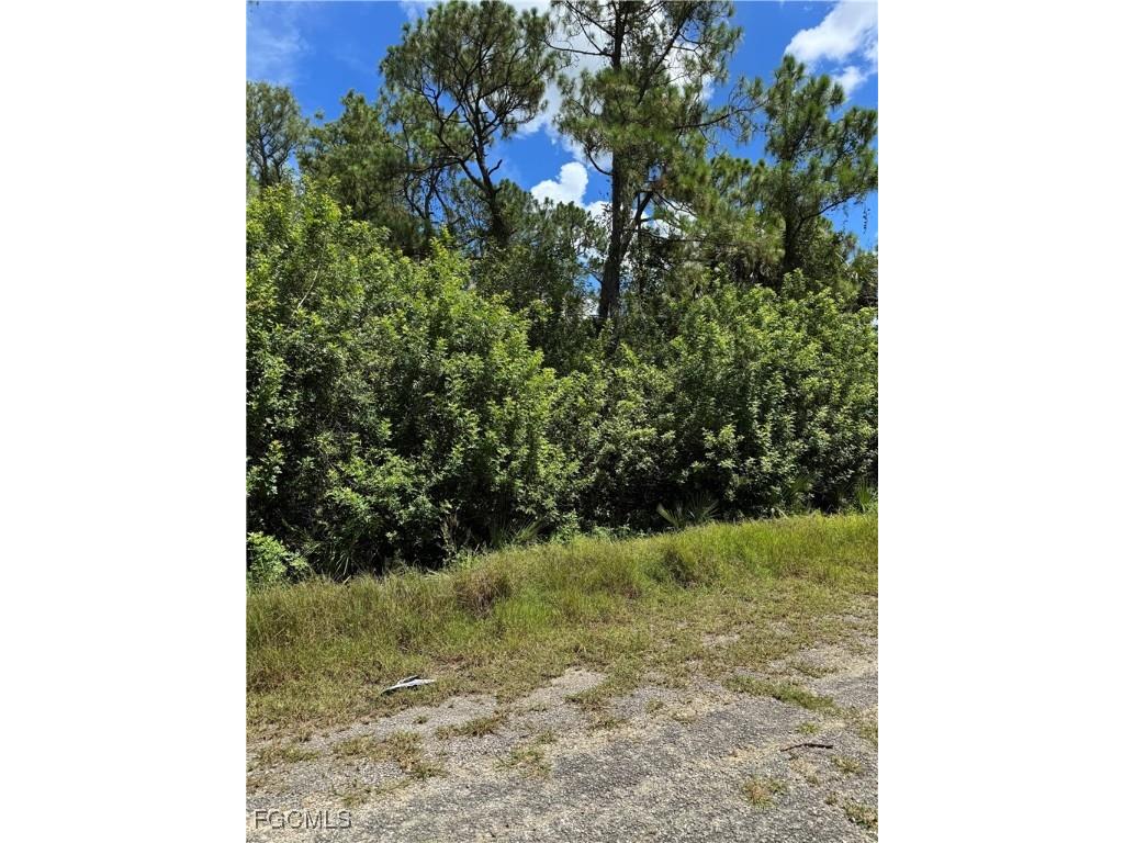 514 Woodman Drive Lehigh Acres FL 33972 2025004905 image6