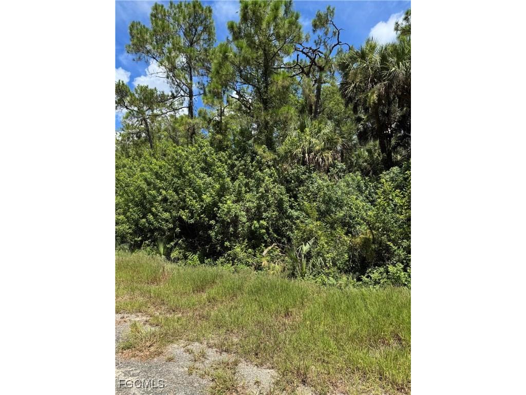 514 Woodman Drive Lehigh Acres FL 33972 2025004905 image7