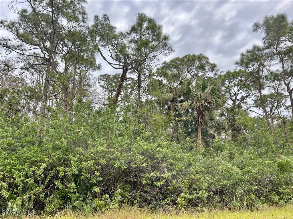 514 Woodman Drive Lehigh Acres FL 33972 225005664 image1