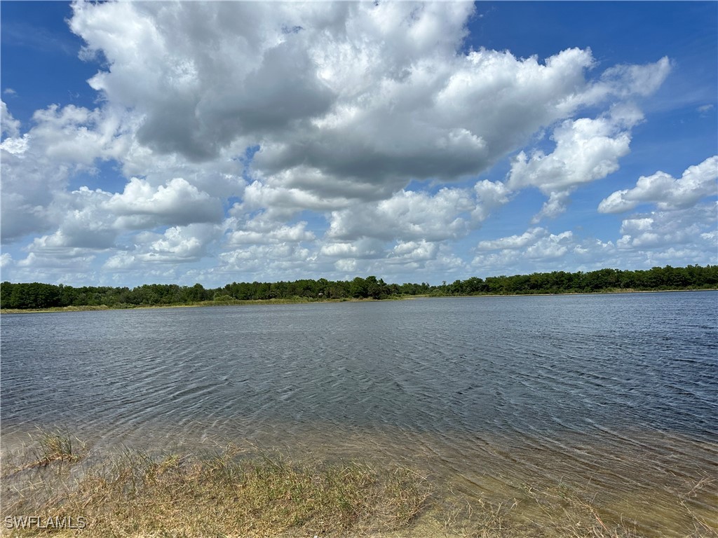 515 Shady Hollow Boulevard W Naples FL 34120 225081518 image2