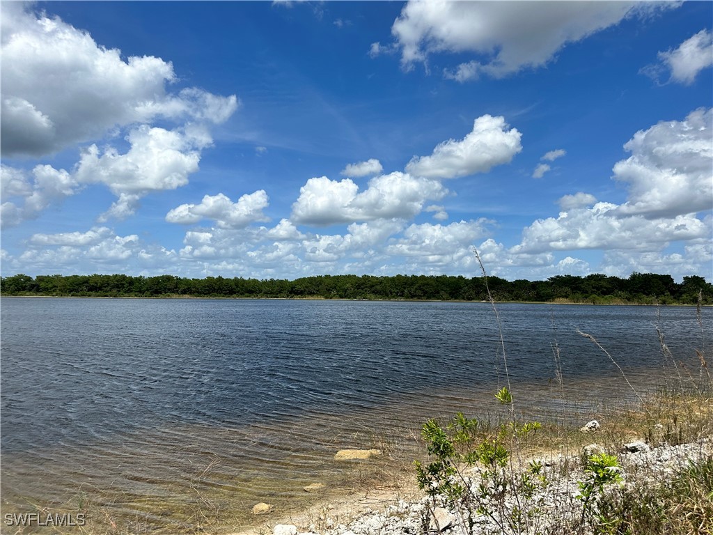 515 Shady Hollow Boulevard W Naples FL 34120 225081518 image4