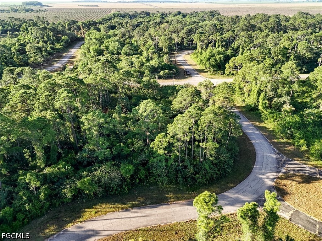 515 Spray Drive Labelle FL 33935 2026024298 image9