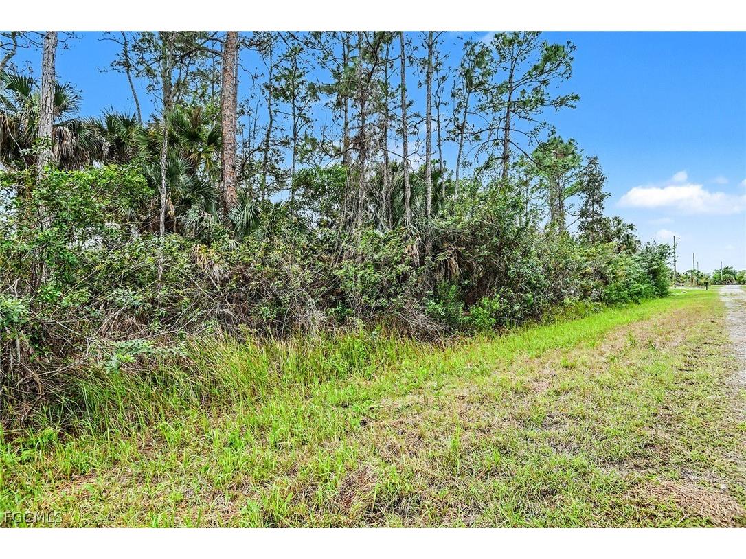 515 Woodman Drive Lehigh Acres FL 33972 2026011220 image1