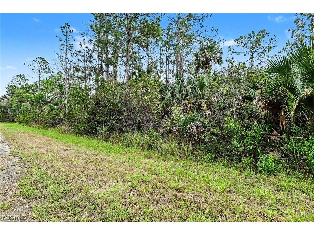 515 Woodman Drive Lehigh Acres FL 33972 2026011220 image2