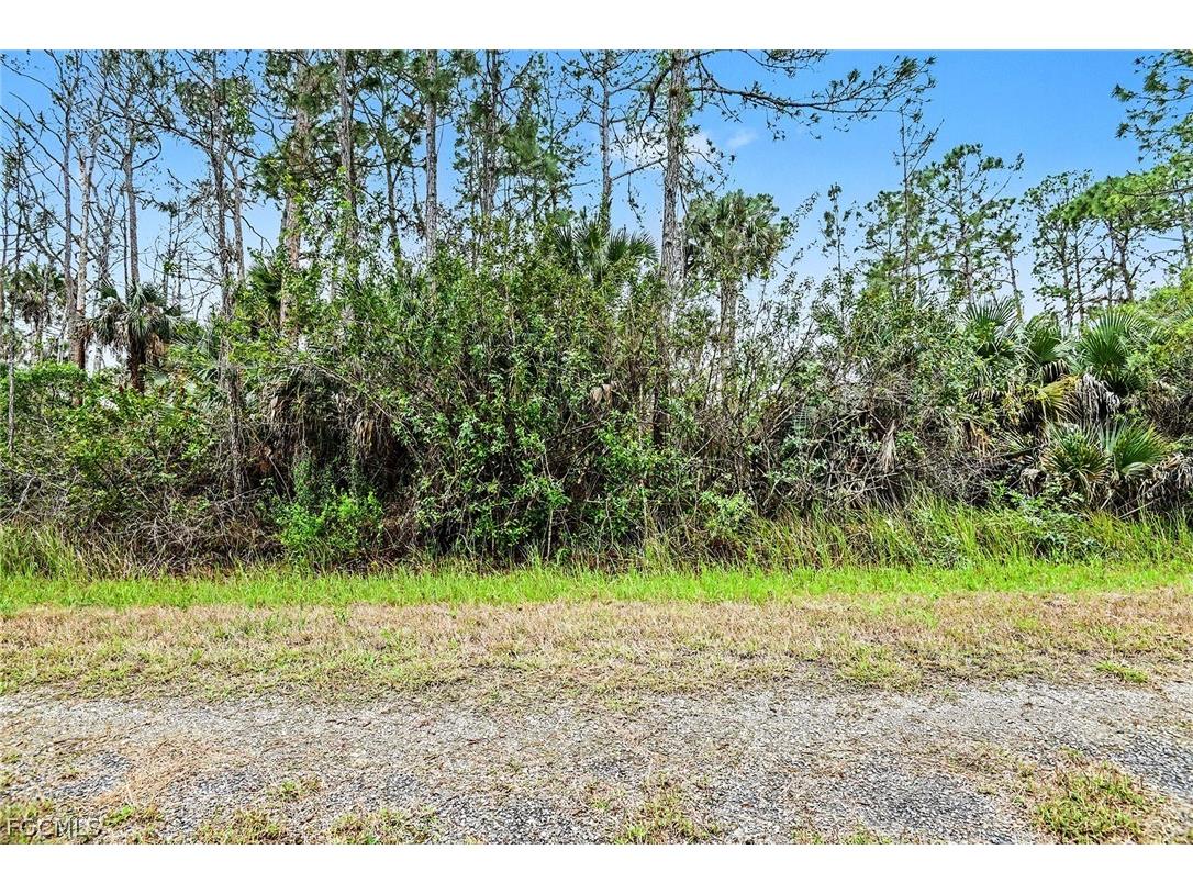 515 Woodman Drive Lehigh Acres FL 33972 2026011220 image3