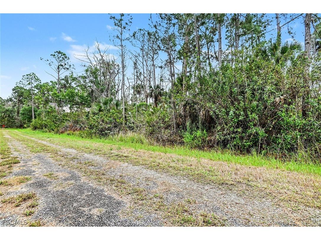 515 Woodman Drive Lehigh Acres FL 33972 2026011220 image5