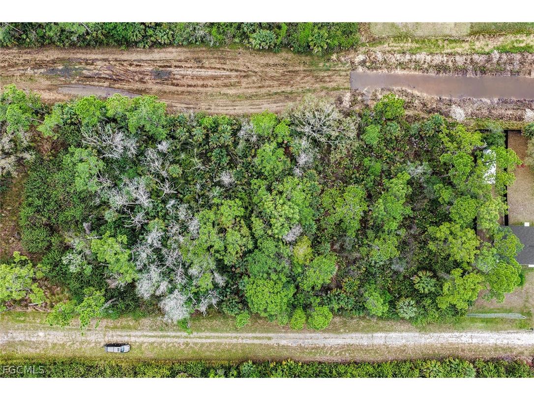 515 Woodman Drive Lehigh Acres FL 33972 2026011220 image7