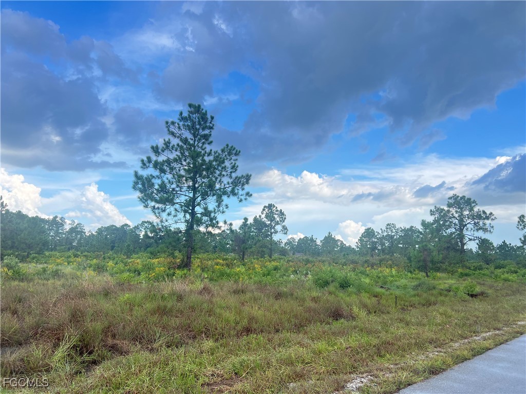 516 Abbott Avenue Lehigh Acres FL 33972 2025003271 image2