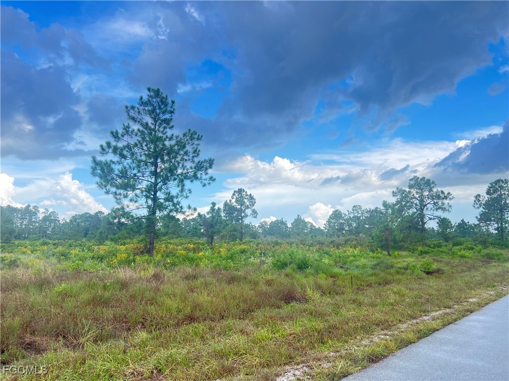 516 Abbott Avenue Lehigh Acres FL 33972 2025003271 image3