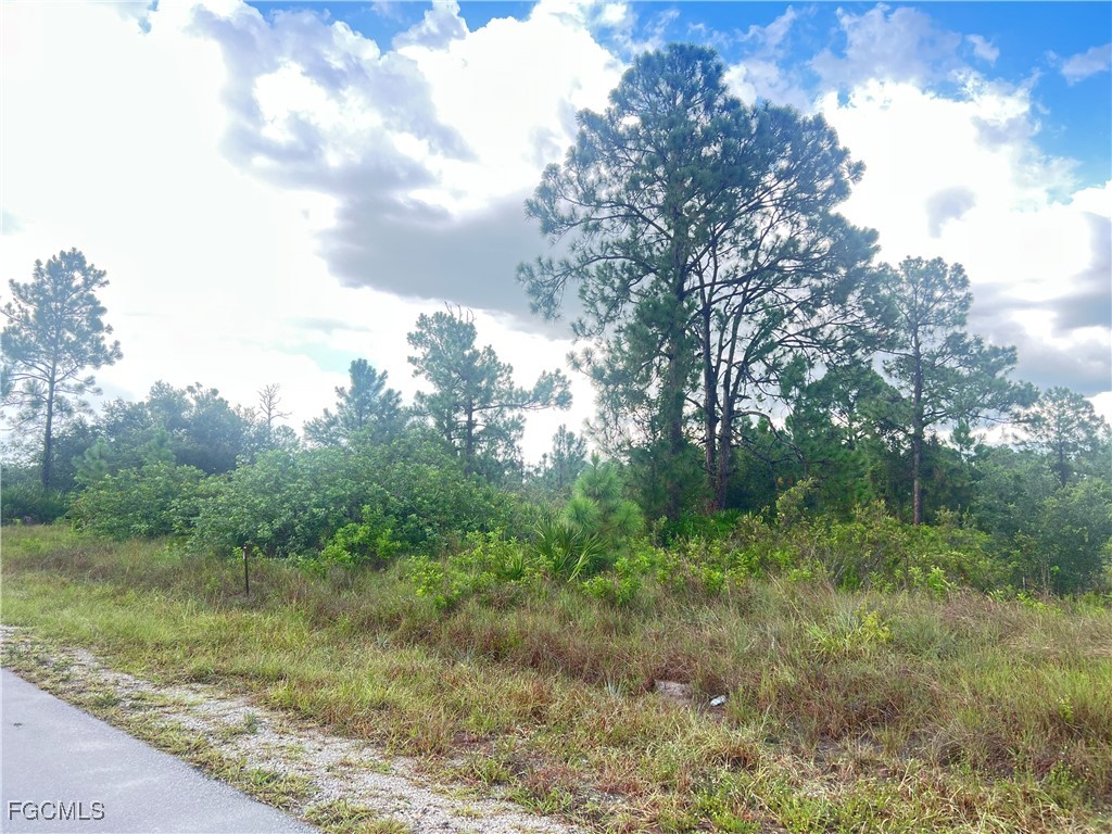 516 Abbott Avenue Lehigh Acres FL 33972 2025003271 image4