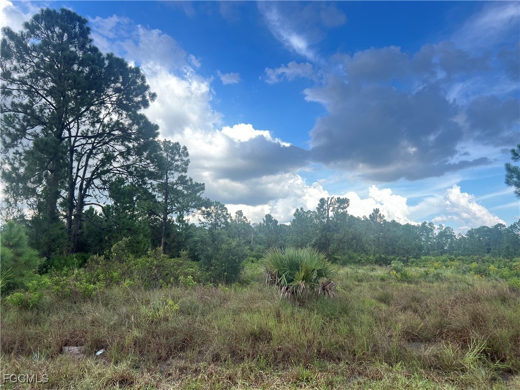 516 Abbott Avenue Lehigh Acres FL 33972 2025003271 image5