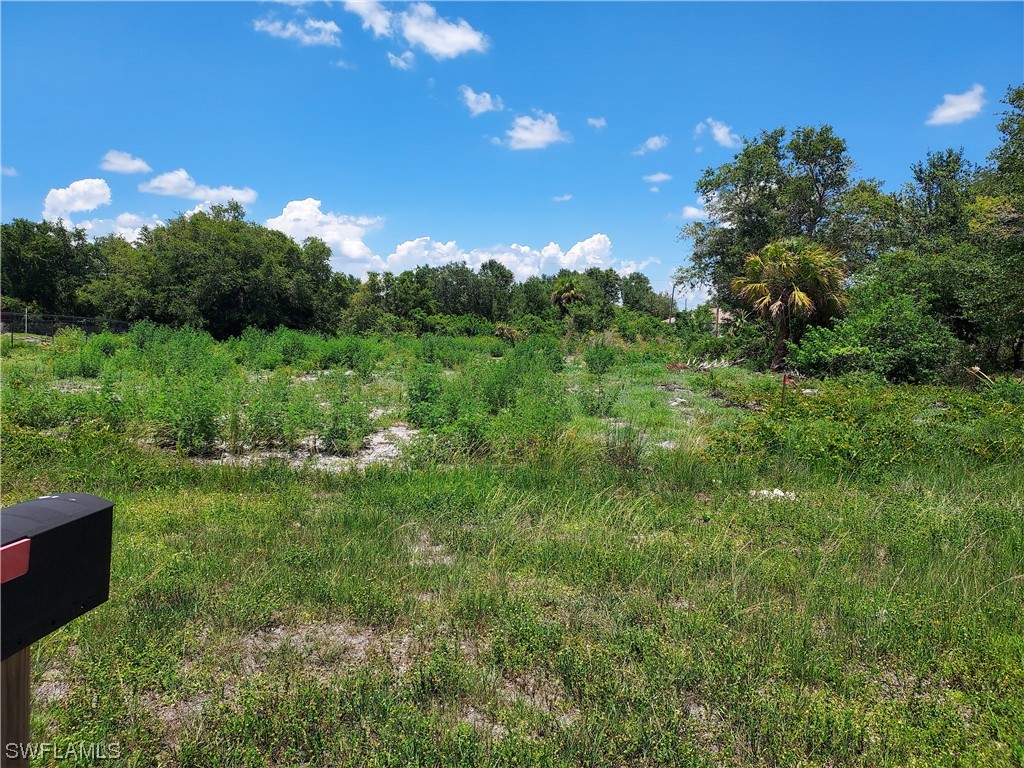 517-519 Grant Boulevard Lehigh Acres FL 33974 223043459 image1