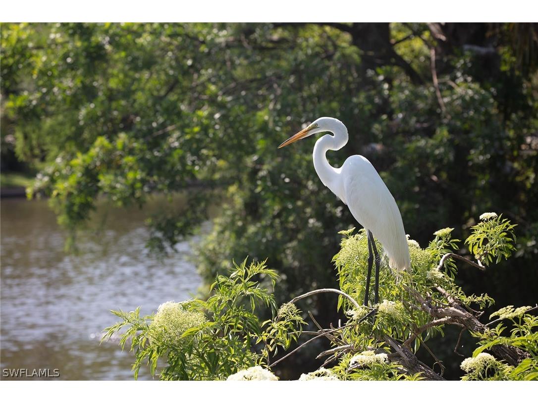 517 Devils Lane Naples FL 34103 226006370 image8