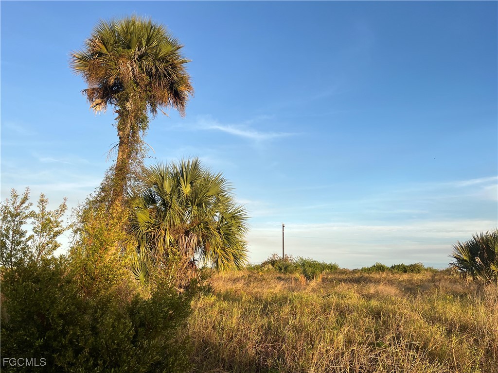 517 Ella Jean Place Labelle FL 33935 2025020010 image3