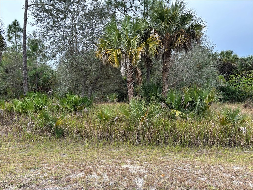 517 Mckinley Avenue Lehigh Acres FL 33972 223087288 image1