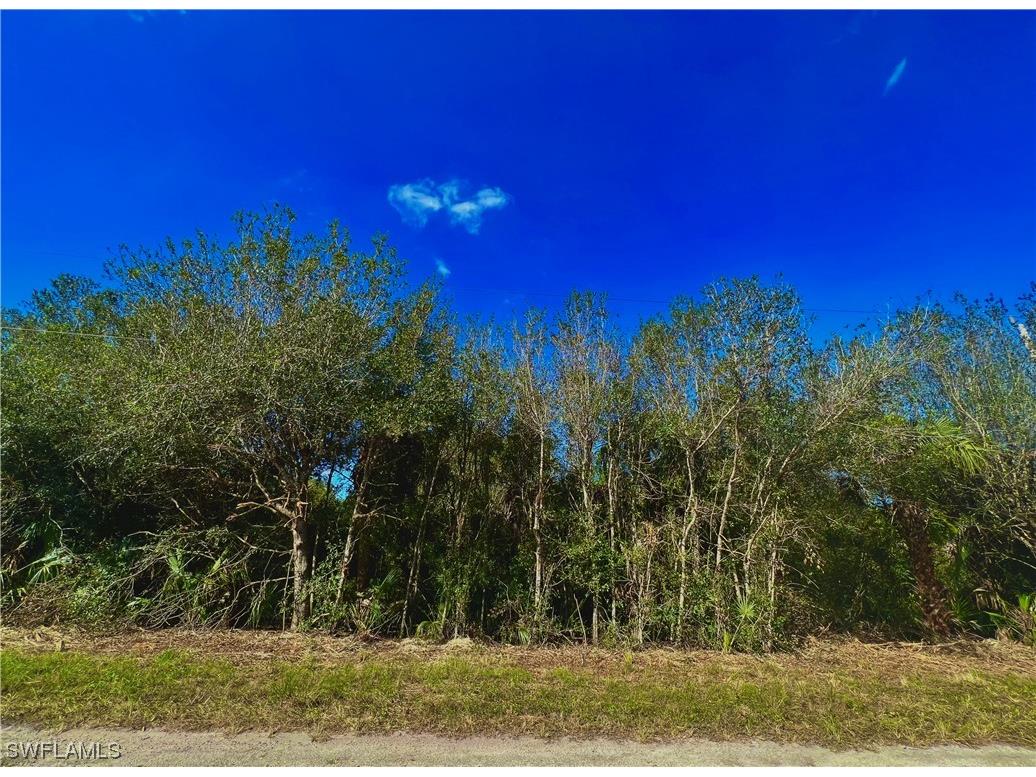 518 Edward Hall Avenue S Lehigh Acres FL 33974 223078633 image1