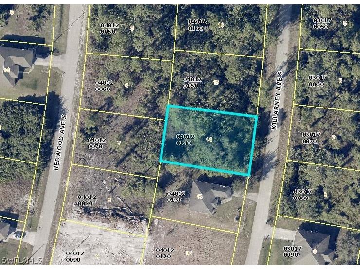 518 Kilarney Avenue S Lehigh Acres FL 33974 224030701 image1