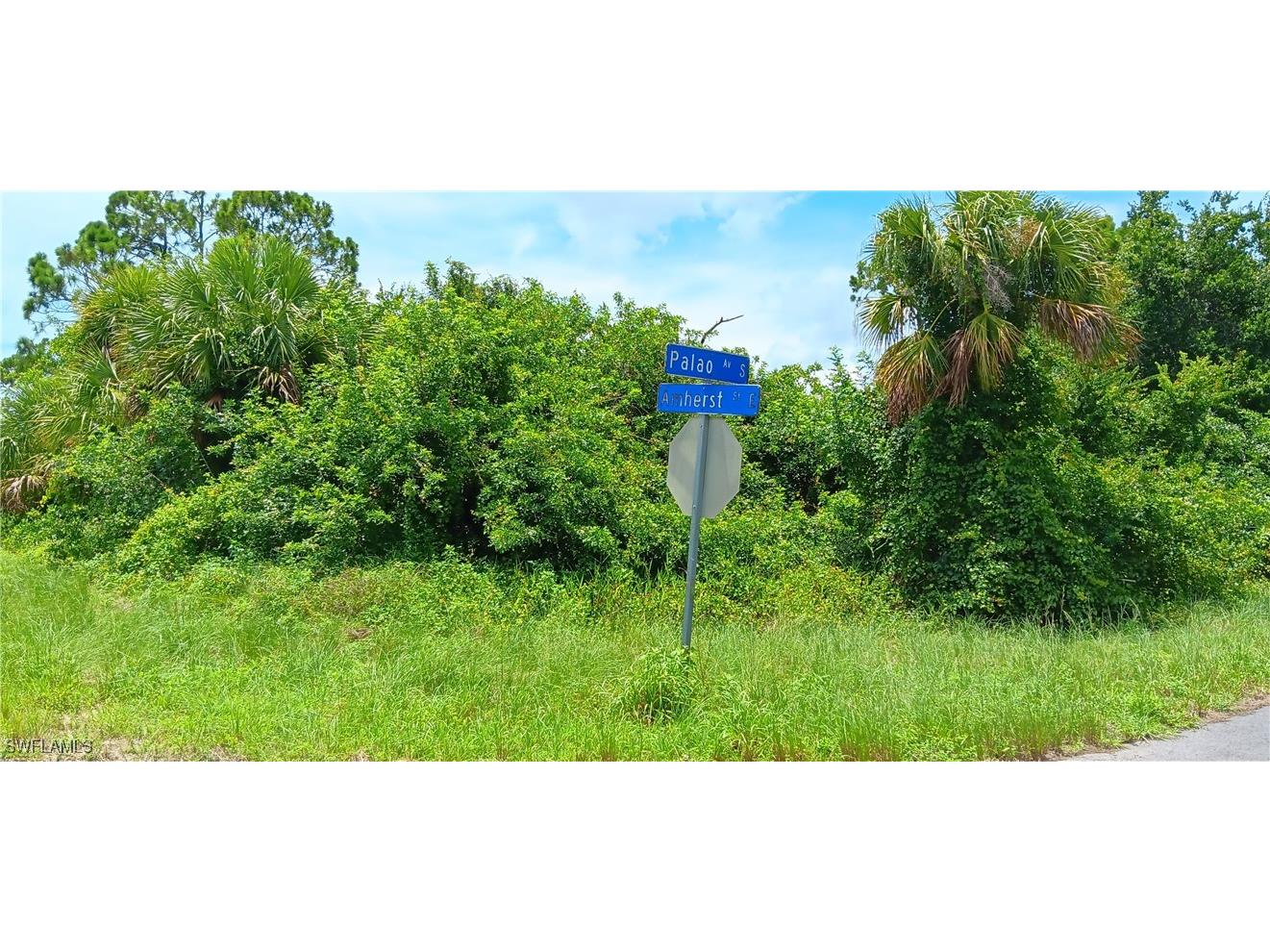 518 Palao Avenue S Lehigh Acres FL 33974 225060458 image1