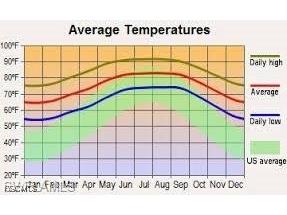 519 Herrin Avenue S Lehigh Acres FL 33974 2025003161 image5