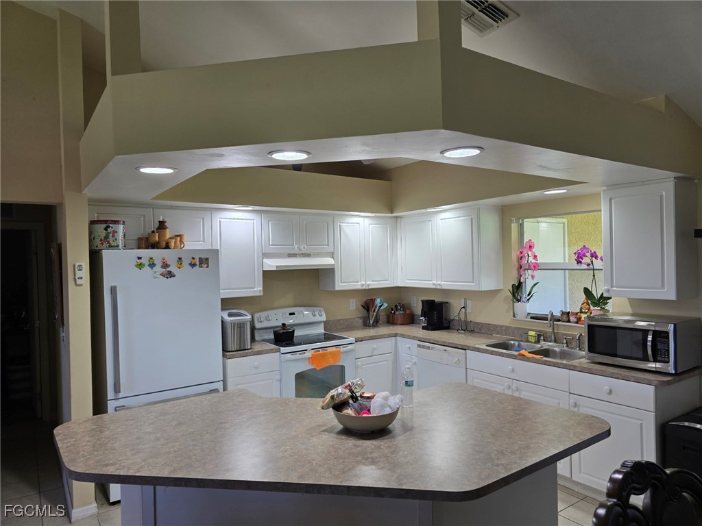 519 NW 26th Street Cape Coral FL 33993 2025007323 image13