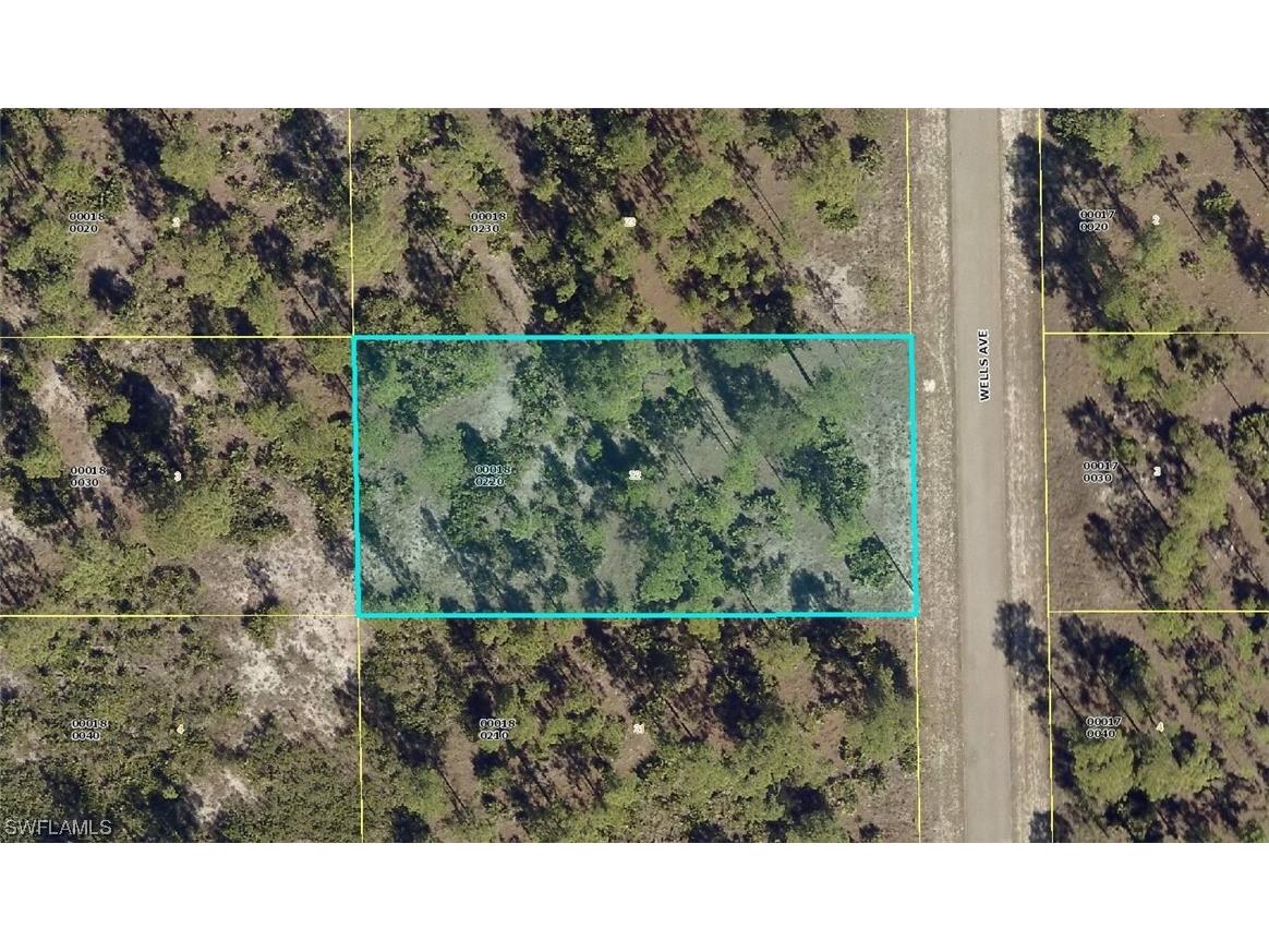 519 Wells Avenue Lehigh Acres FL 33972 223016561 image1