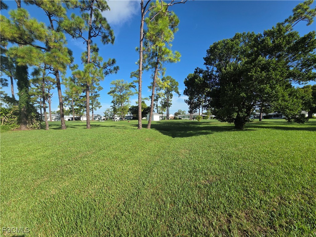 52 Heath Aster Lane Lehigh Acres FL 33936 2025004489 image38